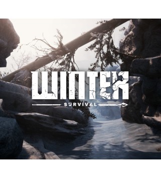 Winter Survival Steam Key GLOBAL